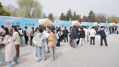 为加强大多宝体育手机版登录就业多宝体